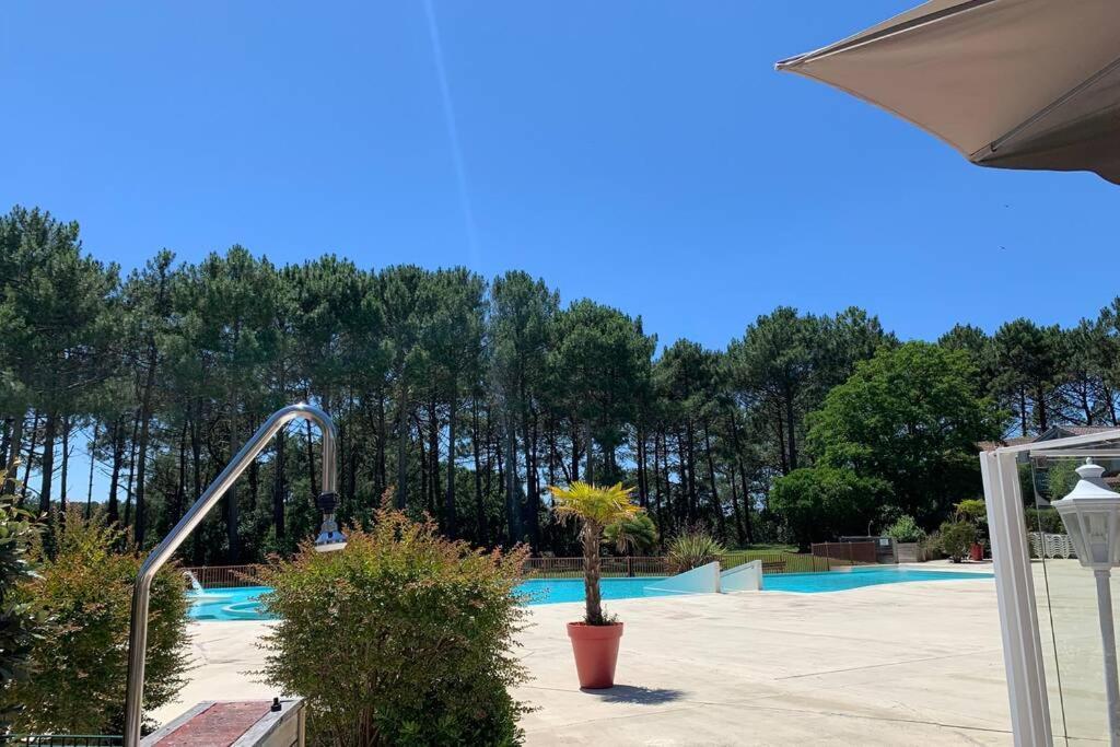 Appartement T2 1Chambre 4-5 Personnes - Lacanau - Piscine - Vue Sur Le Golf Bagian luar foto